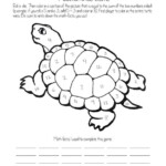 Sea Turtle Worksheets Kindergarten