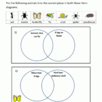 Venn Diagram Worksheet For Grade 1 Worksheet printablesheetss