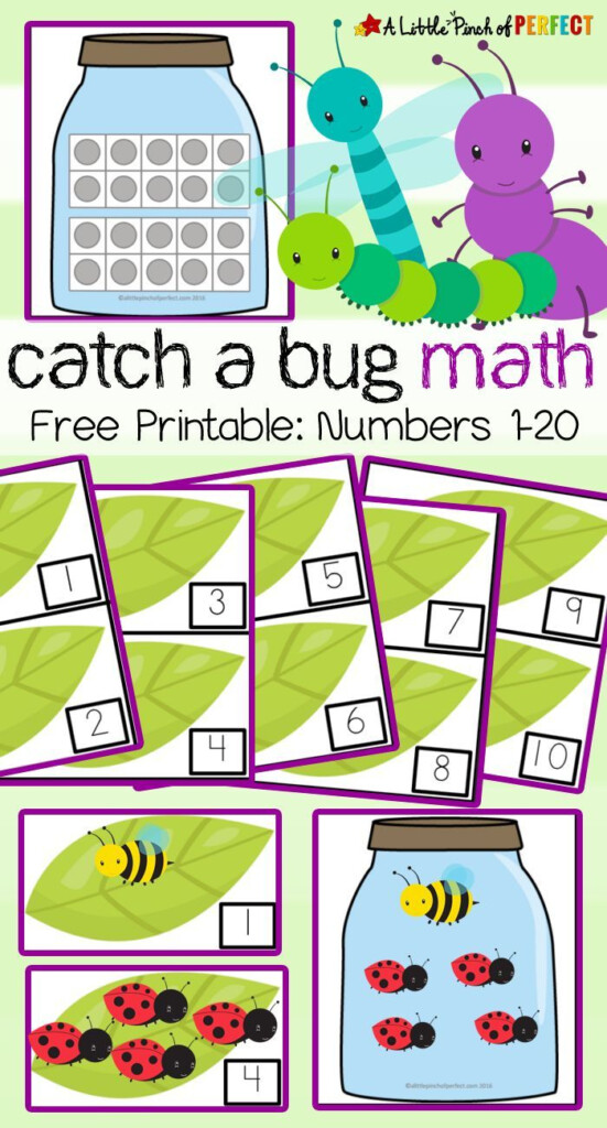 Bug Math Worksheets For Kindergarten William Hopper s Addition Worksheets