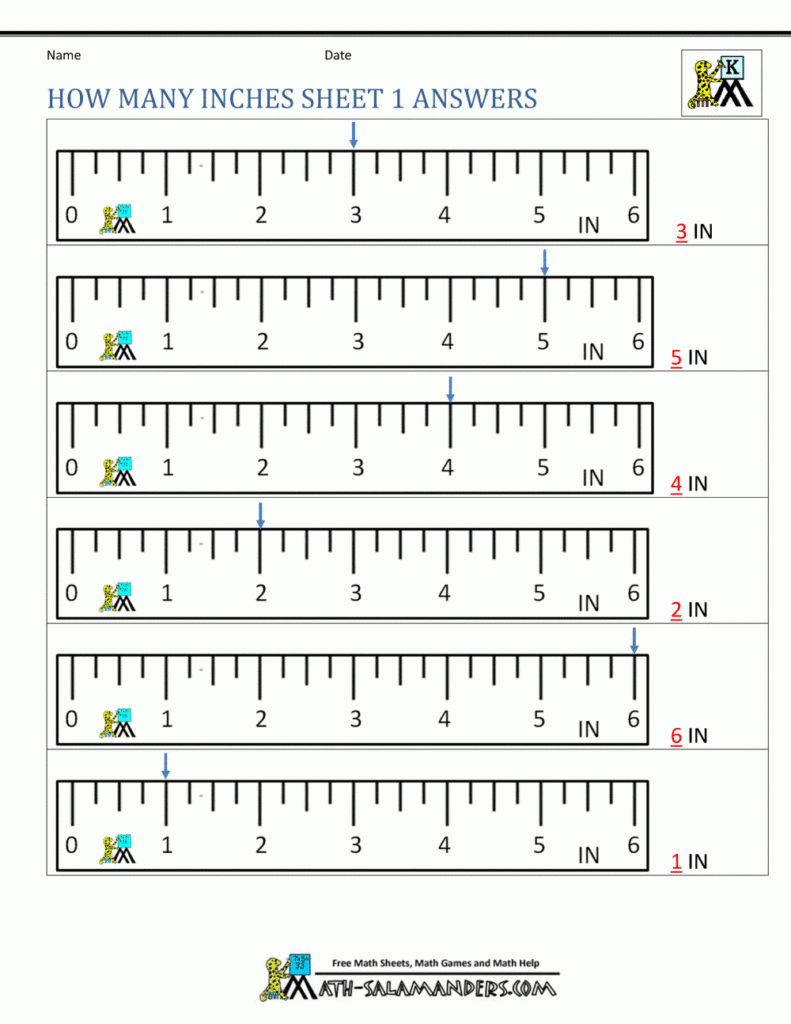 Reading A Ruler Worksheet Pdf